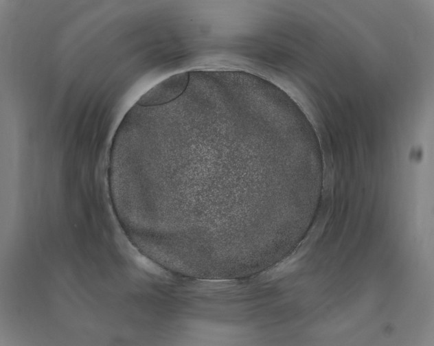 X0000091101486200708201509