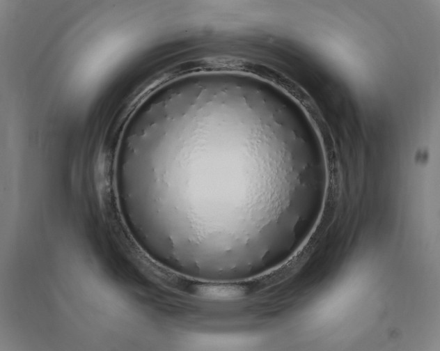 X0000091101487200708201509