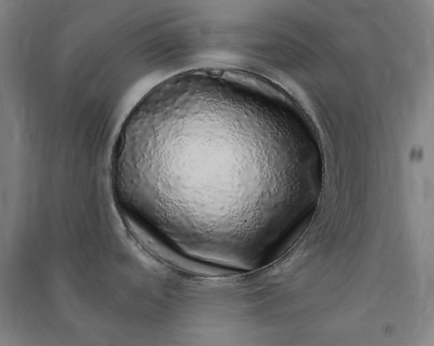 X0000091101488200708201509