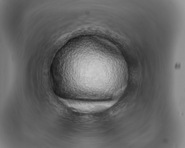 X0000091101489200708201508