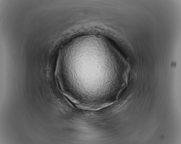 X0000091101490200708201508