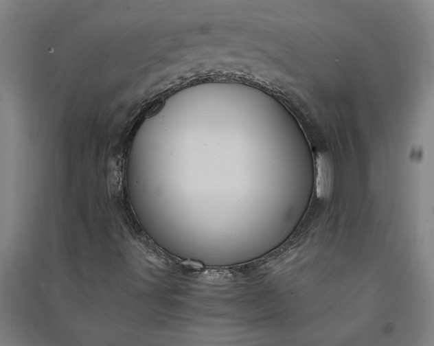 X0000091101491200708201508