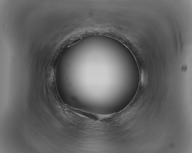 X0000091101492200708201508