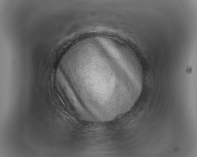 X0000091101493200708201508