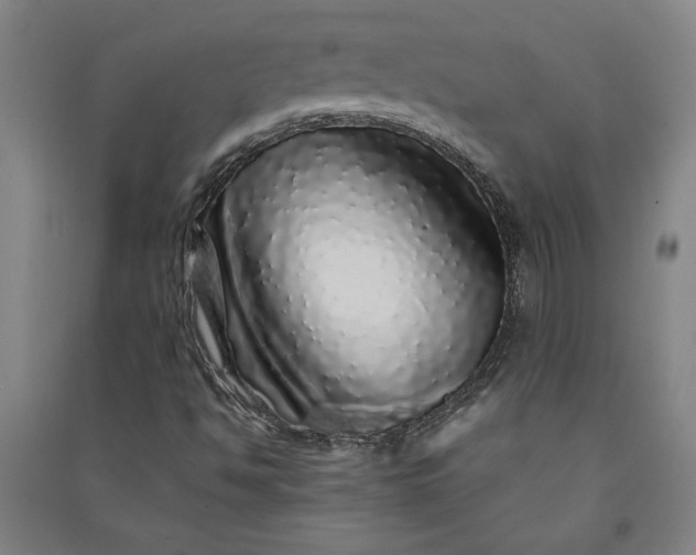 X0000091101494200708201508