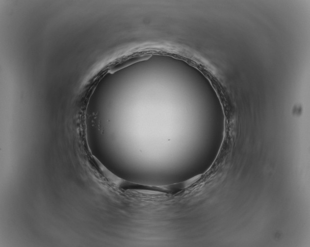 X0000091101496200708201508