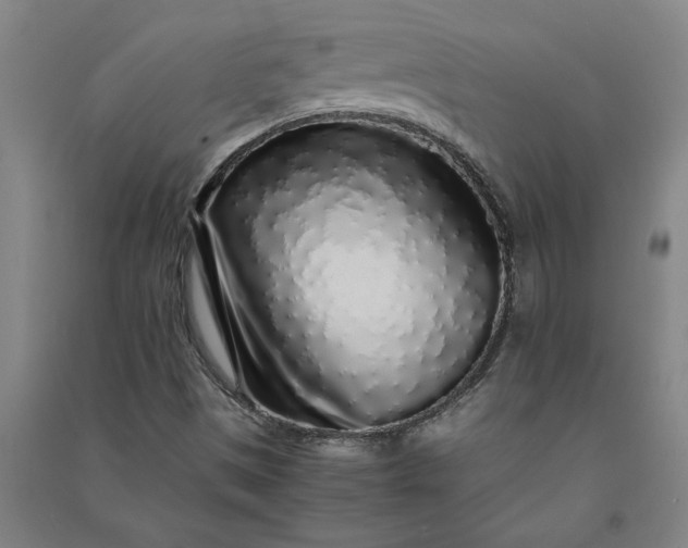 X0000091101497200708201508