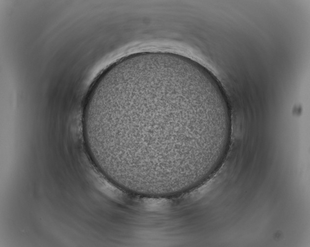 X0000091101498200708201508