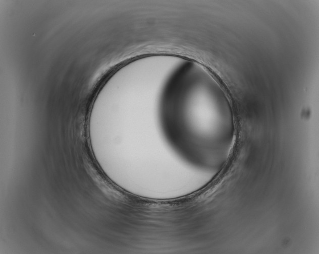 X0000091101499200708201508