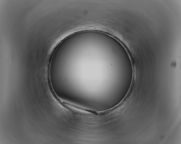 X0000091101500200708201508