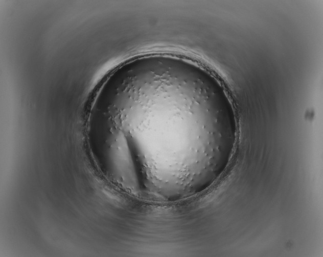 X0000091101501200708201508