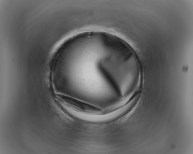 X0000091101502200708201508