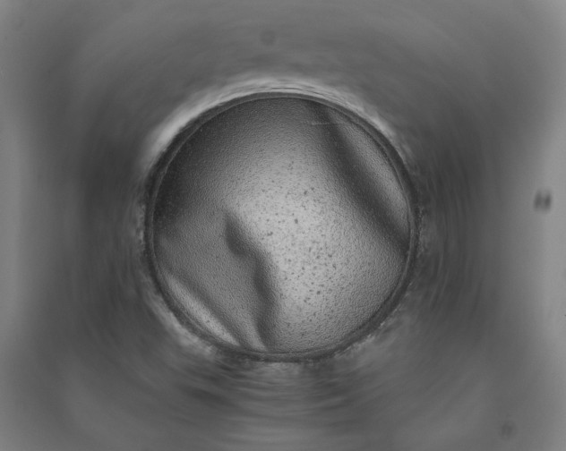 X0000091101503200708201508