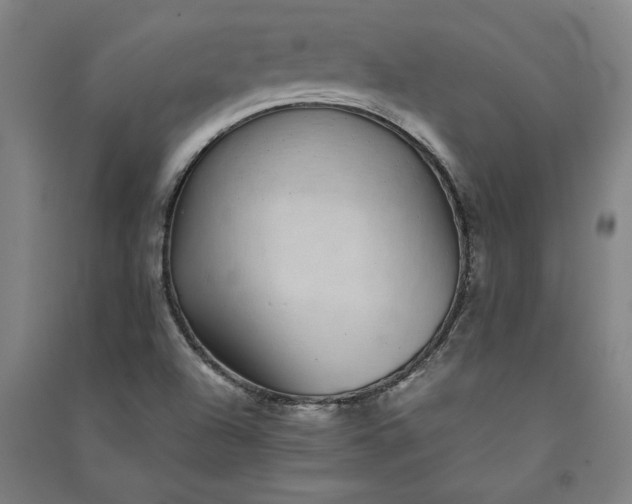 X0000091101504200708201508