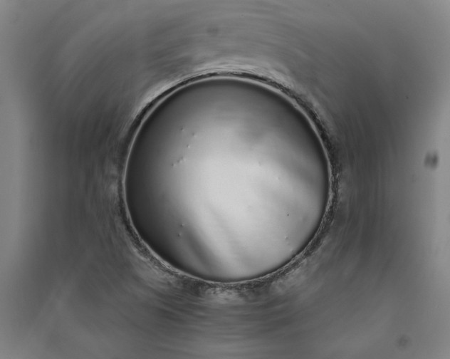 X0000091101505200708201508