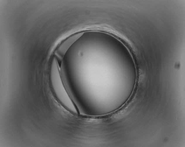 X0000091101506200708201508