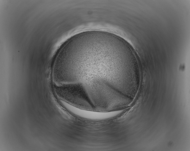 X0000091101507200708201508