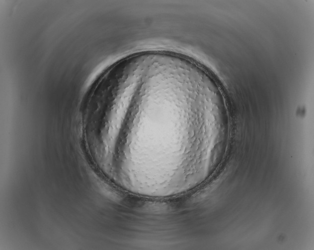 X0000091101509200708201508