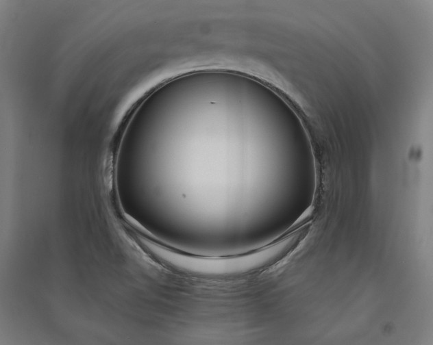 X0000091101510200708201508