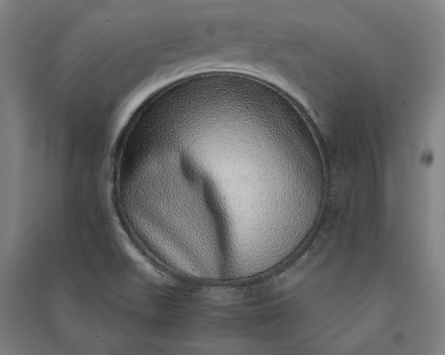 X0000091101511200708201508