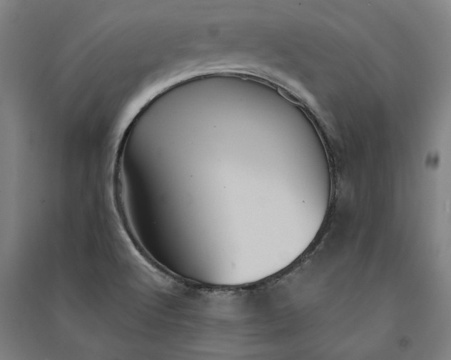 X0000091101512200708201508