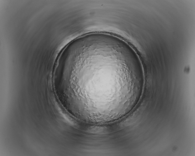 X0000091101513200708201508