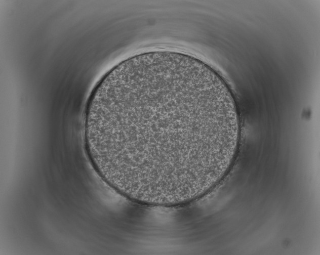 X0000091101514200708201508