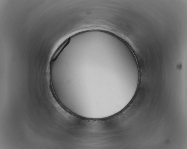 X0000091101516200708201508