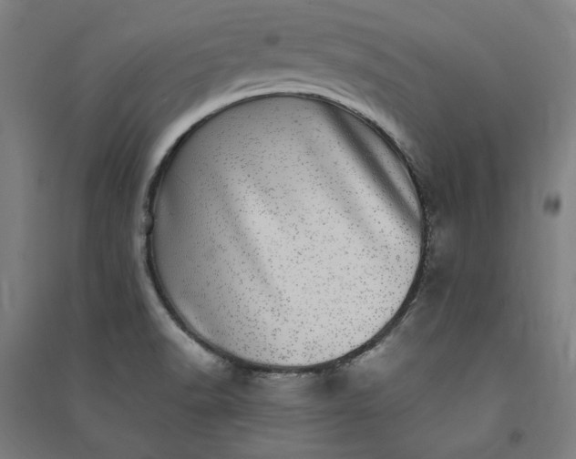 X0000091101518200708201508