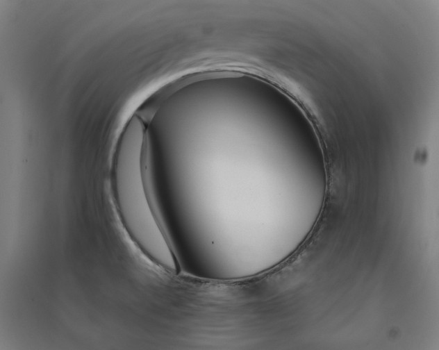 X0000091101520200708201508