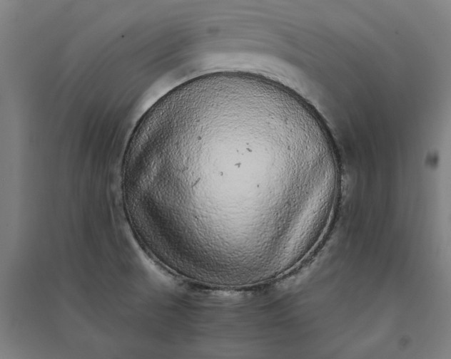 X0000091101521200708201508