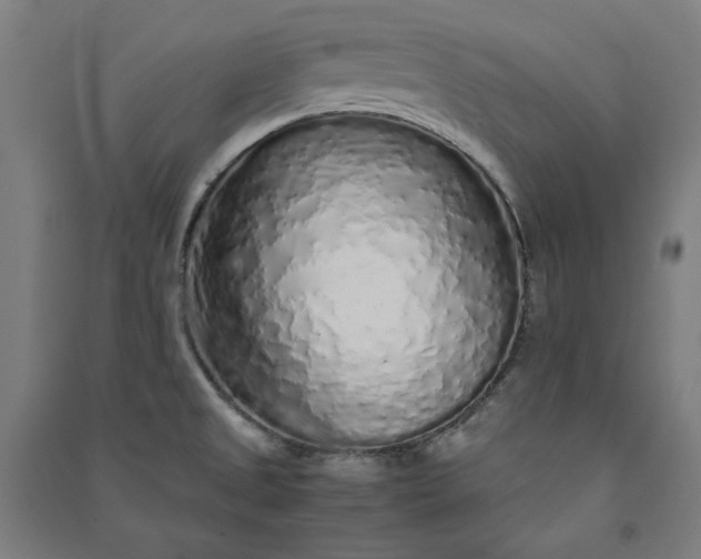 X0000091101525200708201508