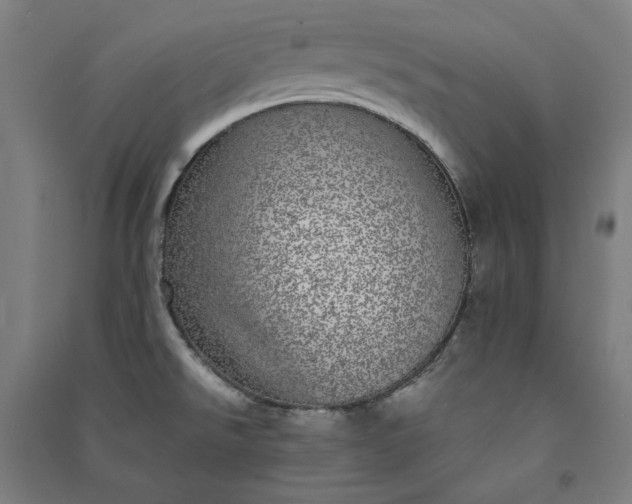 X0000091101526200708201508