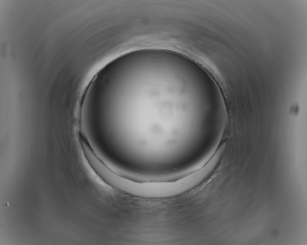 X0000091101528200708201508