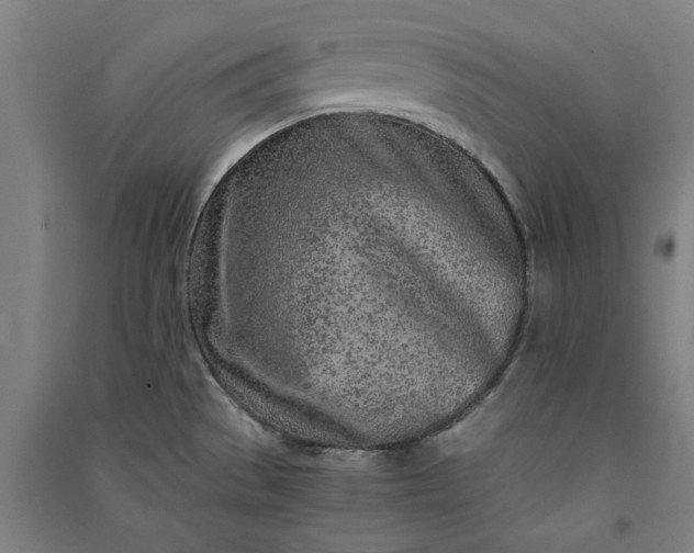 X0000091101529200708201508