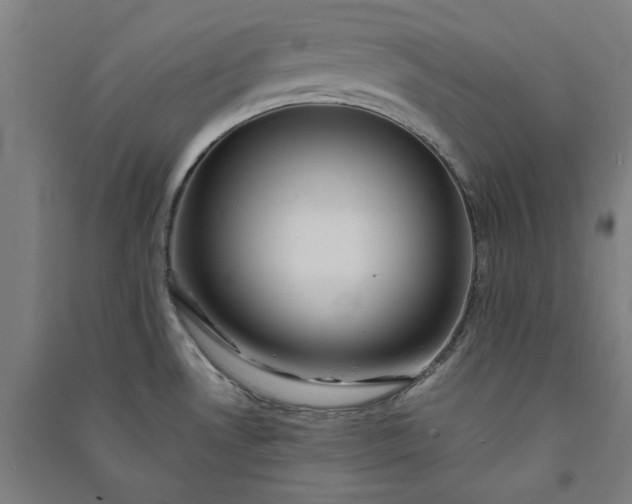 X0000091101530200708201509