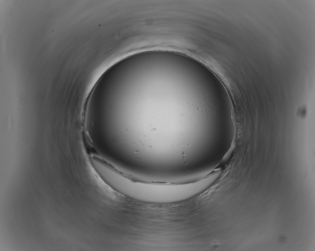 X0000091101532200708201509