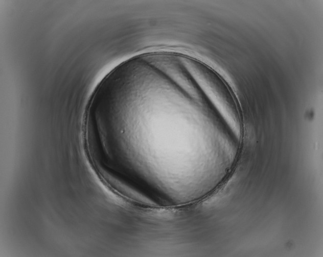 X0000091101533200708201509