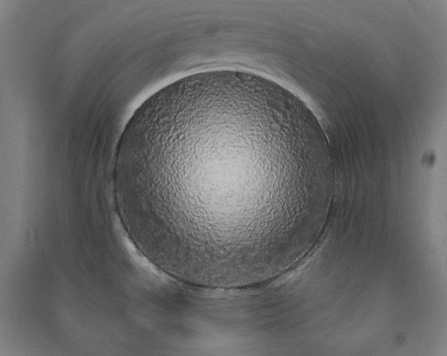 X0000091101534200708201509