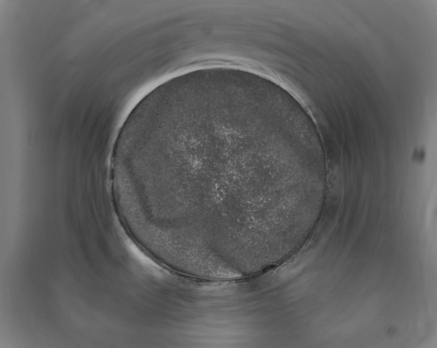 X0000091101535200708201509