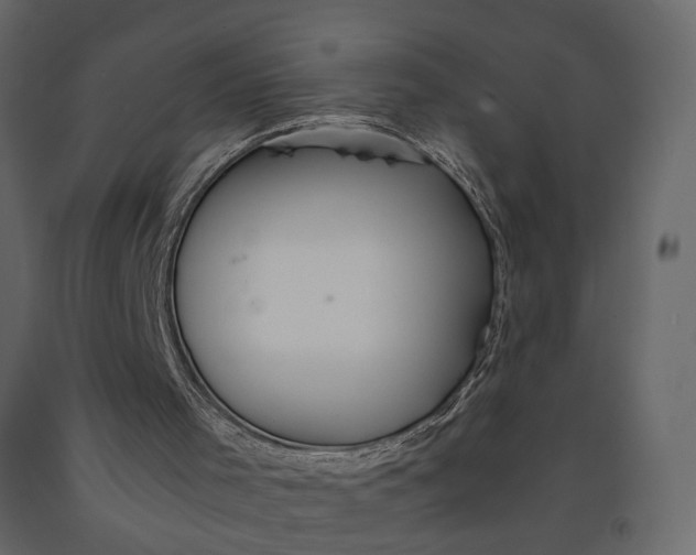 X0000091100001200708271325