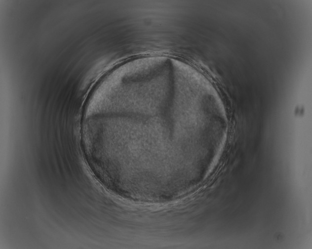 X0000091100002200708271325