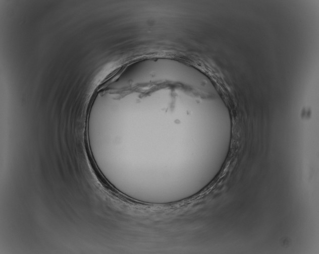 X0000091100003200708271325