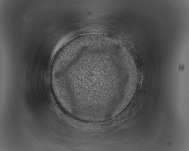 X0000091100004200708271325