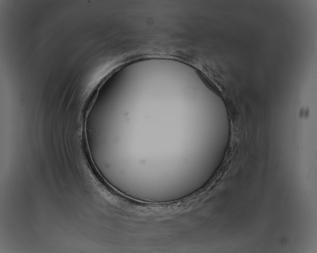 X0000091100005200708271325