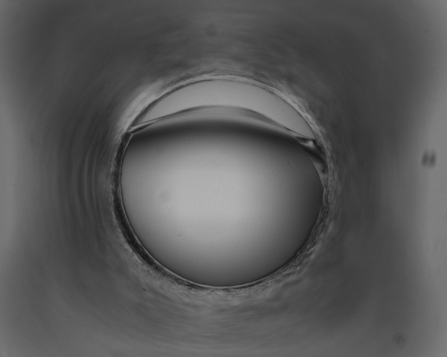 X0000091100007200708271325