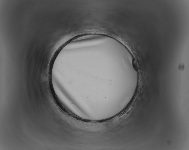 X0000091100008200708271325