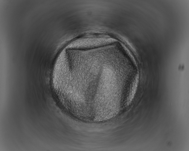 X0000091100010200708271325