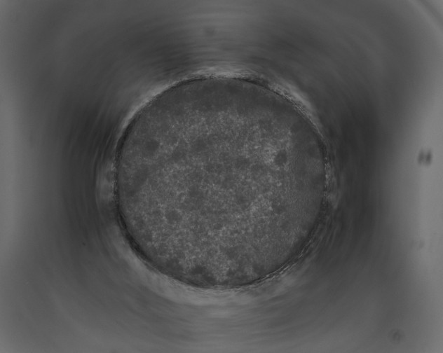 X0000091100012200708271325