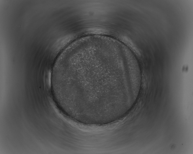 X0000091100014200708271325